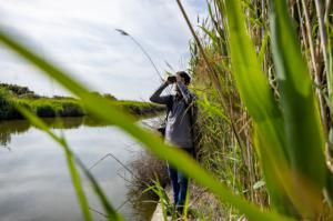 Cazados dos furtivos mientras pescaban ilegalmente en los espacios protegidos del Delta