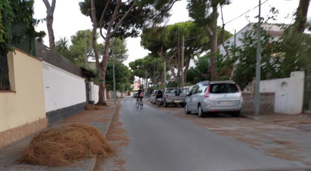 Esta imagen ha sido el panorama de muchas calles de Castelldefels en los últimos días.