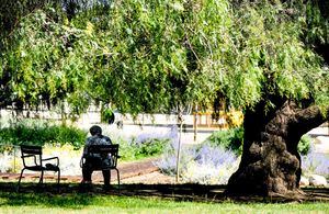 Estos son los parques más frescos de la ciudad para combatir el calor