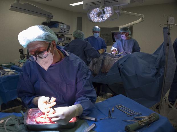 El Hospital de Bellvitge se convierte en el centro líder en trasplantes renales del Estado