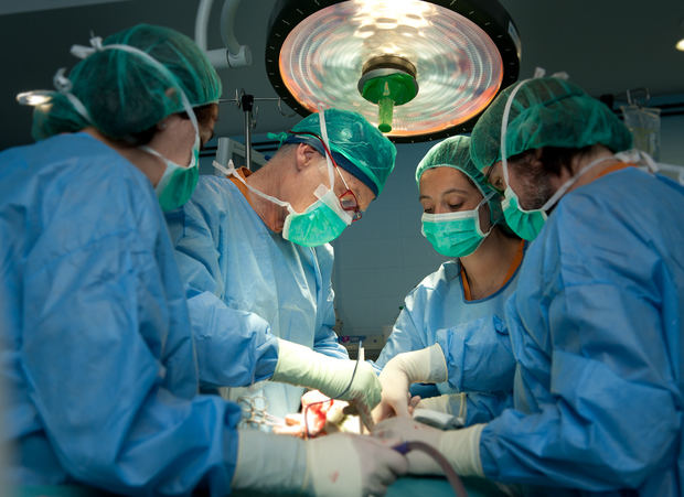 El Hospital de Bellvitge es el centro que más trasplantes de órganos en adulto han realizado en 2021