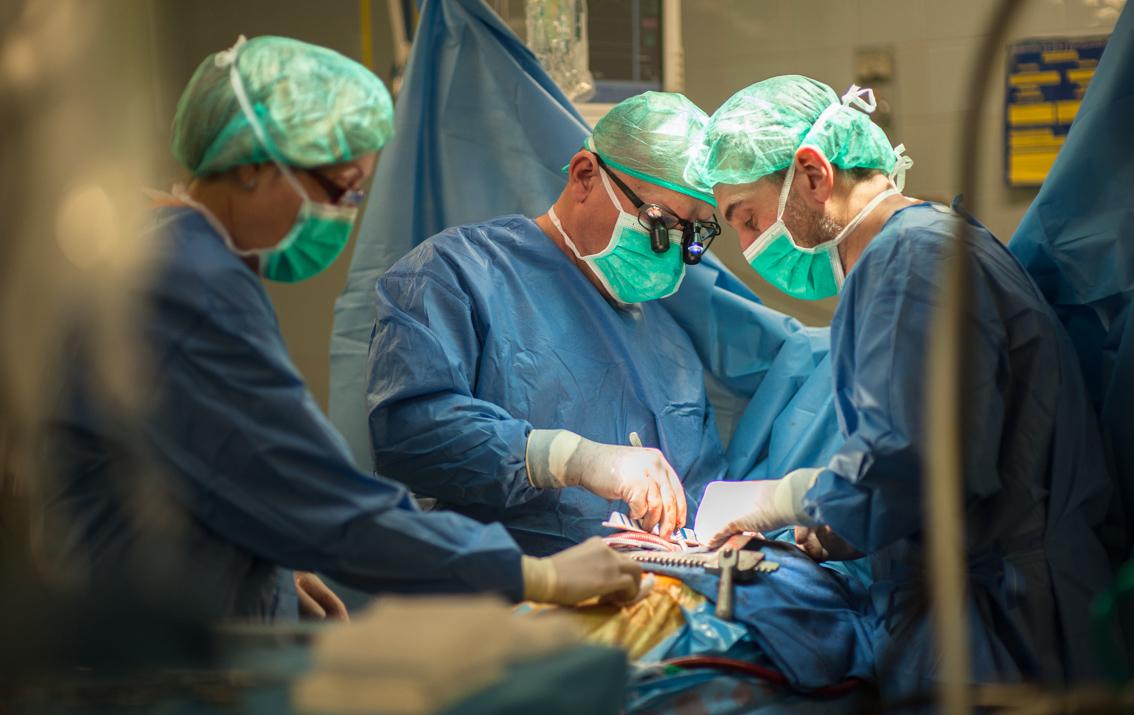 El Hospital de Bellvitge lidera los trasplantes de corazón y riñón en Cataluña
