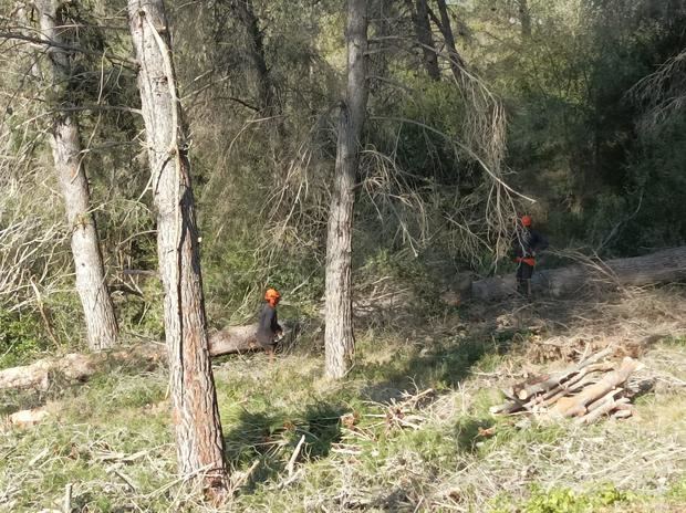 Castellví de Rosanes inicia los trabajos de protección contra incendios en el barrio del Taió