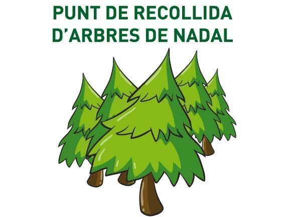 Castelldefels habilita puntos de recogida de árboles de Navidad