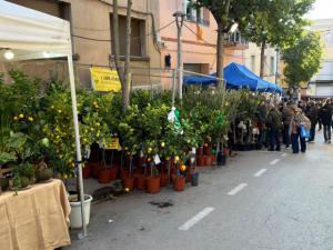 Amb aquestes Rodalies el país s’ofega