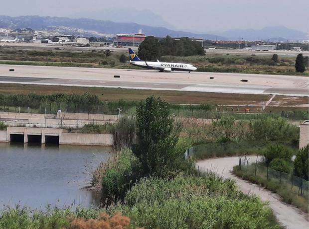 Los empresarios del Baix y L’Hospitalet también rechazan la ampliación de los espacios protegidos del Delta