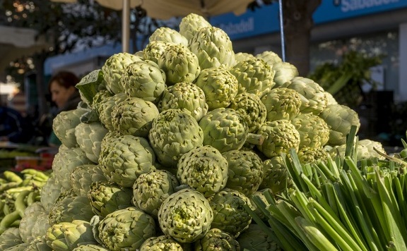 La temporada de la alcachofa Prat cierra con más de 350.000 kilos servidos a tiendas y restaurantes