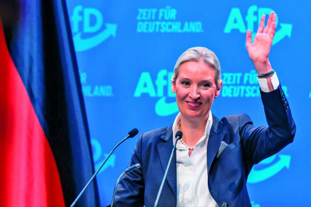 Alice Weidel, la princesa de hielo