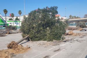 Sant Boi arranca su gran motor verde: empiezan las obras del panel solar metropolitano más potente