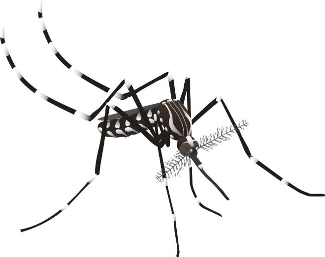 La Generalitat i el Consell Comarcal del Baix Llobregat obren un període de negociacions per tancar un acord de finançament estable pel Servei de Control de Mosquits