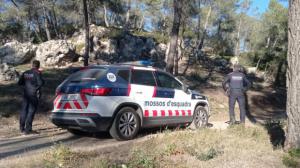 El ataque de tres perros peligrosos en Corbera desmantela una plantación de marihuana