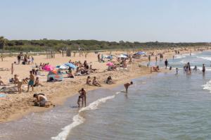 Atención, bañistas. Las playas de Viladecans estrenan salvamento y transporte gratuito: no querrás perdértelo