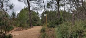 El Ayuntamiento crea una guía para dar a conocer los itinerarios naturales de Gavà