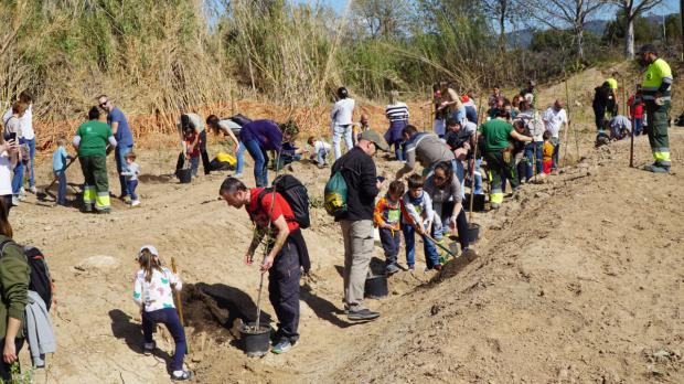 Familias de Sant Joan Despí plantan en el río Llobregat