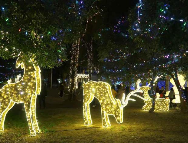 Gavà nos 'encanta' por Navidad: disfruta del Bosque Encantado