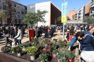 L'Hospitalet planta una veintena de árboles en conmemoración a los nacimientos de 2022