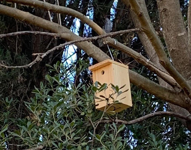 El Ayuntamiento de Abrera ultima la instalación de las cajas nido