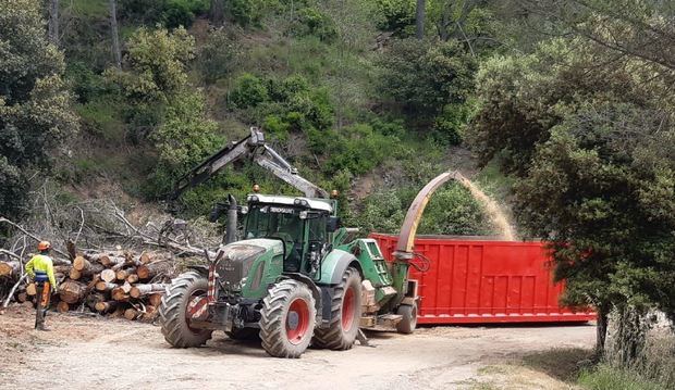 Can Colomer avanza para convertirse en un productor de biomasa