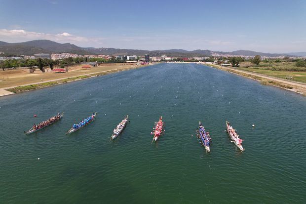 Festival Internacional de Dragonboat de Castelldefels. Un homenaje a los supervivientes de cáncer