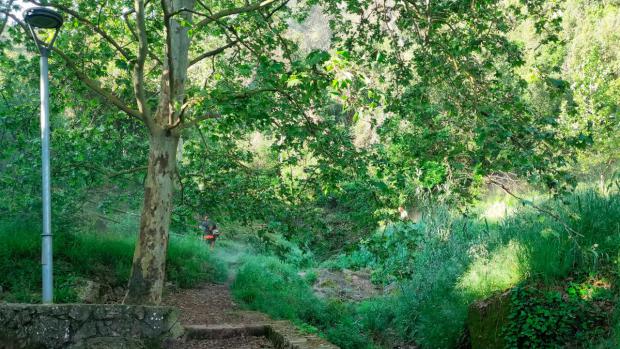 Castellví se prepara para los meses de verano. Trabajos de mantenimiento en las zonas verdes