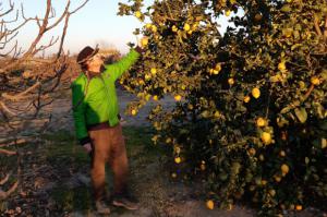 Te van a sorprender los graves problemas que sufren los agricultores del Baix