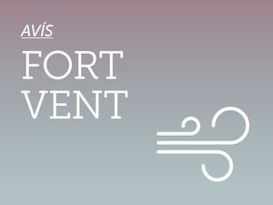 Abrera se prepara para fuertes vientos hoy 29 de marzo: consejos de seguridad