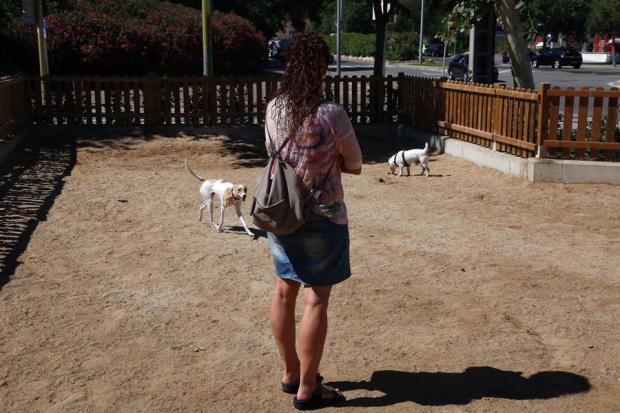 El censo canino de Cornellà: las sanciones por no registrar correctamente a tus mascotas