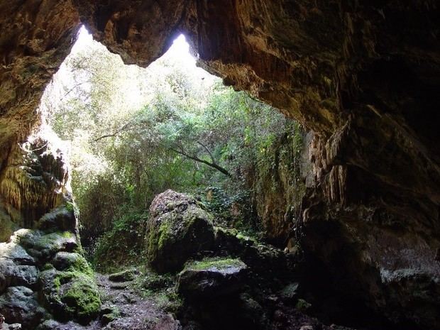 Vallirana inaugurará una exposición sobre la cueva Bonica y su historia
