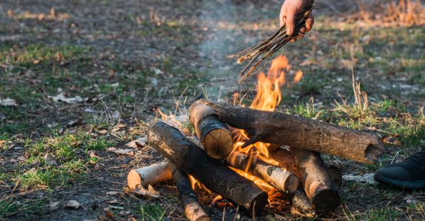Cremación de troncos