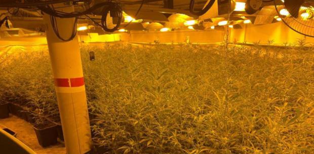 Corrupción policial en Gavà: detenido un 'mosso' involucrado en una red de tráfico de marihuana