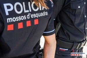 Cuatro detenidos por robos en viviendas y empresas en Sant Esteve Sesrovires