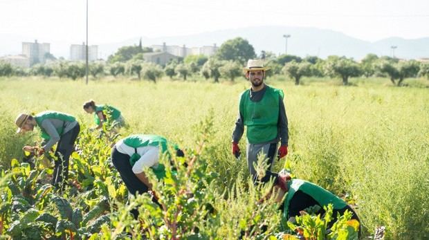El Prat de Llobregat lanza un proyecto contra el despilfarro alimentario