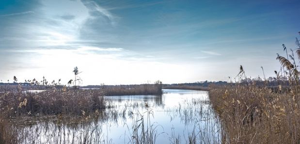 El Prat ratifica que el Eixample Sud “no afecta a ningún espacio natural ni agrícola protegido”