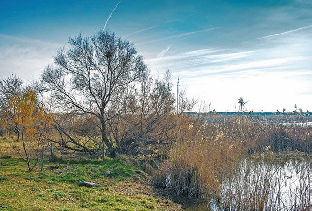 El Delta se niega a ser el hermano pobre de los espacios naturales de Cataluña