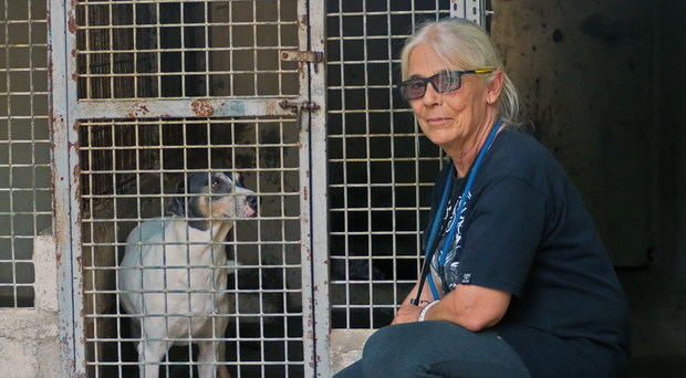 “Si no puedes gastarte 100 euros en tu perro, entonces ¿para qué lo tienes?”
 