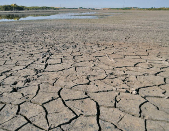 Emergencia climática: olas de calor recurrentes