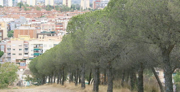 Contribuir des de Sant Boi a salvar el planeta