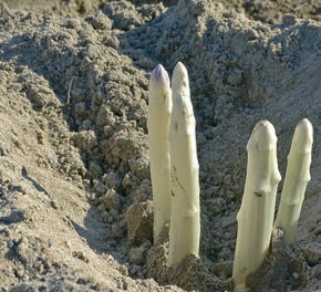 El Baix saca pecho por los frutos de su tierra