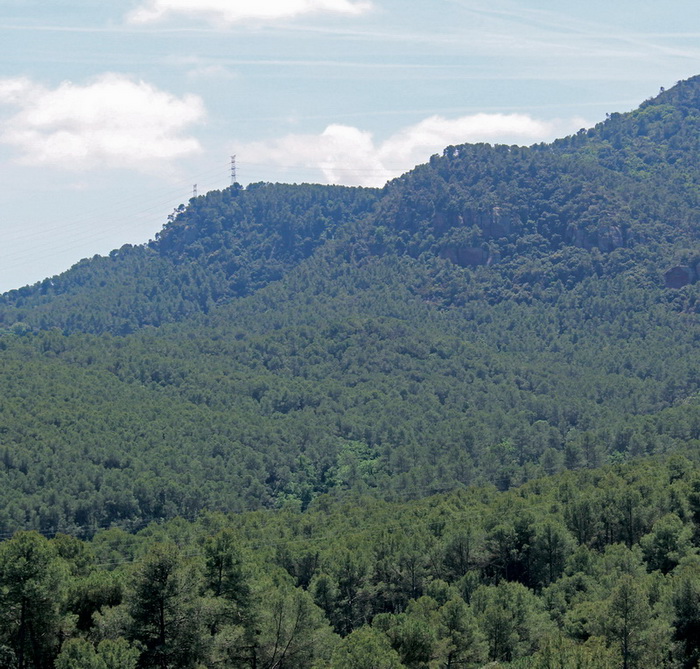 Fer les paus amb la nostra Terra