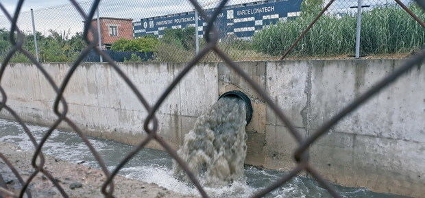 Los continuos vertidos de aguas fecales castigan la biodiversidad de Castelldefels