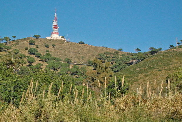 El borde exterior de Collserola podrá destinarse a uso agrícola y ganadero