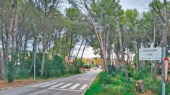 Los vecinos de Castelldefels piden preservar las zonas verdes de la ciudad
