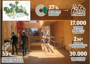 La nova estratègia forestal metropolitana prioritza la lluita contra el canvi climàtic
