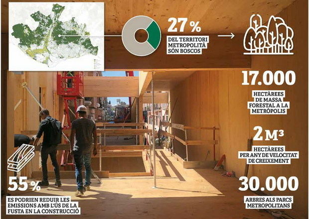 La nova estratègia forestal metropolitana prioritza la lluita contra el canvi climàtic