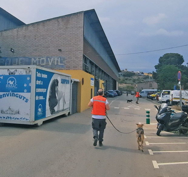 Terrenos para el traslado del cuartel, con el refugio de animales en primer término