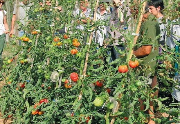 Por una agricultura resistente al cambio climático