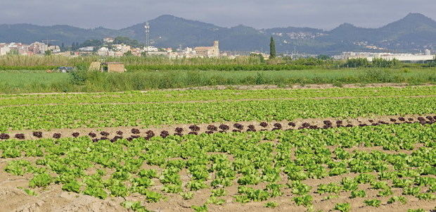 Alerta ‘de pagès’: ampliar las ZEPA atenta contra el futuro agroalimentario del Baix