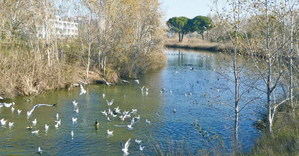 Por un mejor Castelldefels en 2024