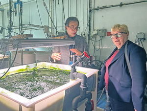 Laboratoris ‘in vitro’ i drons: la tecnologia agrícola de la UPC a Castelldefels inspira