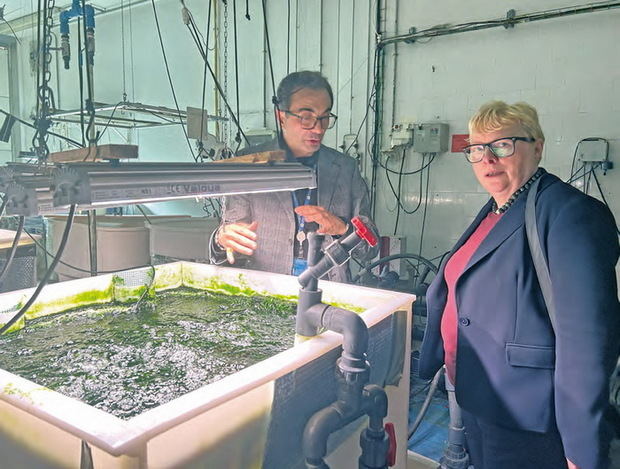 Laboratoris ‘in vitro’ i drons: la tecnologia agrícola de la UPC a Castelldefels inspira